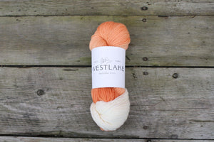 Creamsicle/ Woodland Merino Wool, Fingering