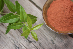 Madder Root Natural Dye, red plant dye