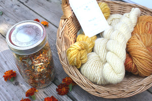 Organic Marigold Natural Dye for dyeing rich yellows and olives, grown in Toronto, 10g