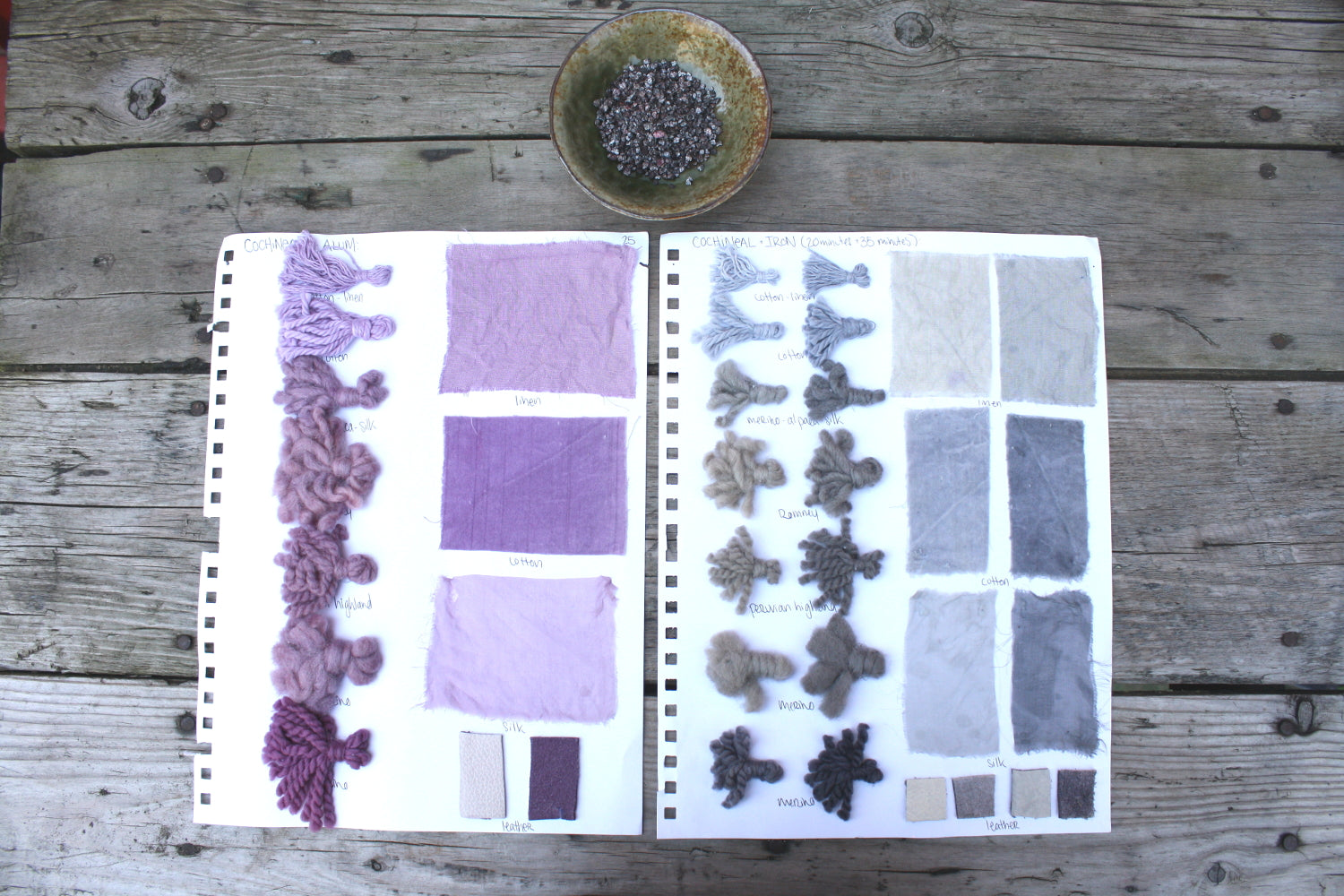 Cochineal Natural Dye, natural source of red, pink, and magenta