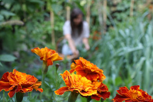 Natural Dyeing and Botanical Printing Workshop- NEW DATES COMING SOON