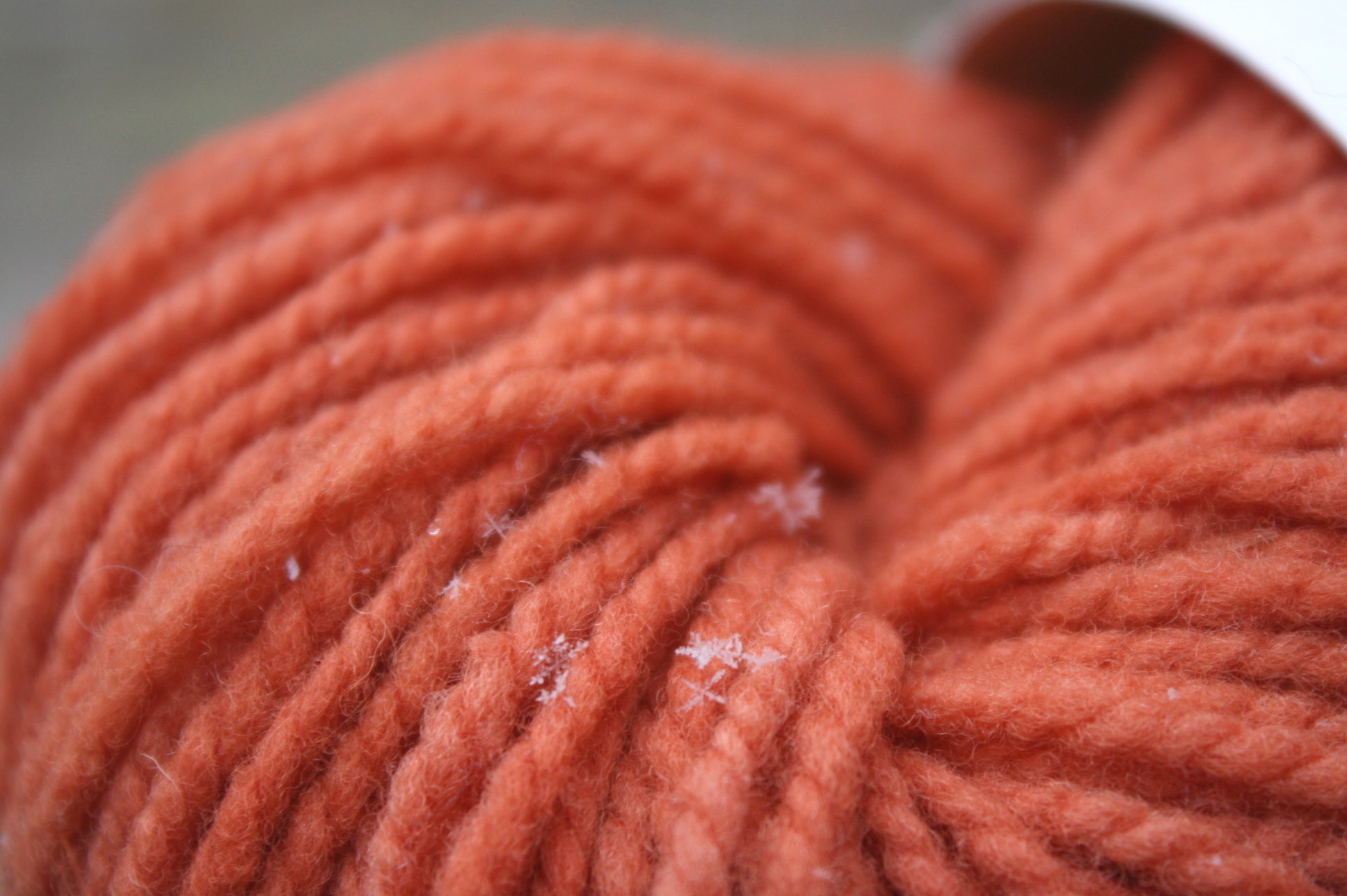 Thicket Canadian Raised Wool Yarn in Rust Red