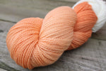 Creamsicle/ Woodland Merino Wool, Fingering