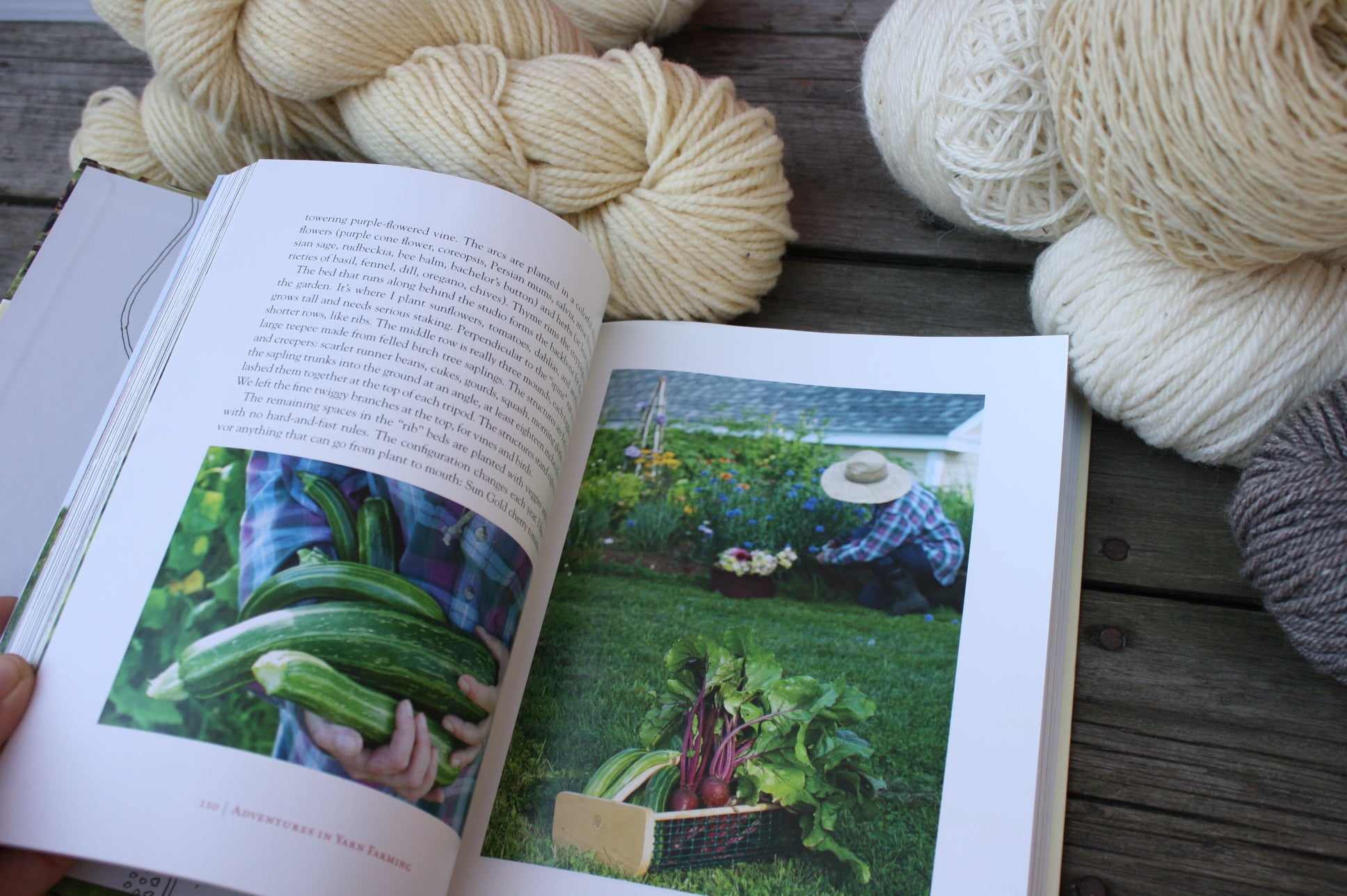 Adventures in Yarn Farming by Barbara Parry