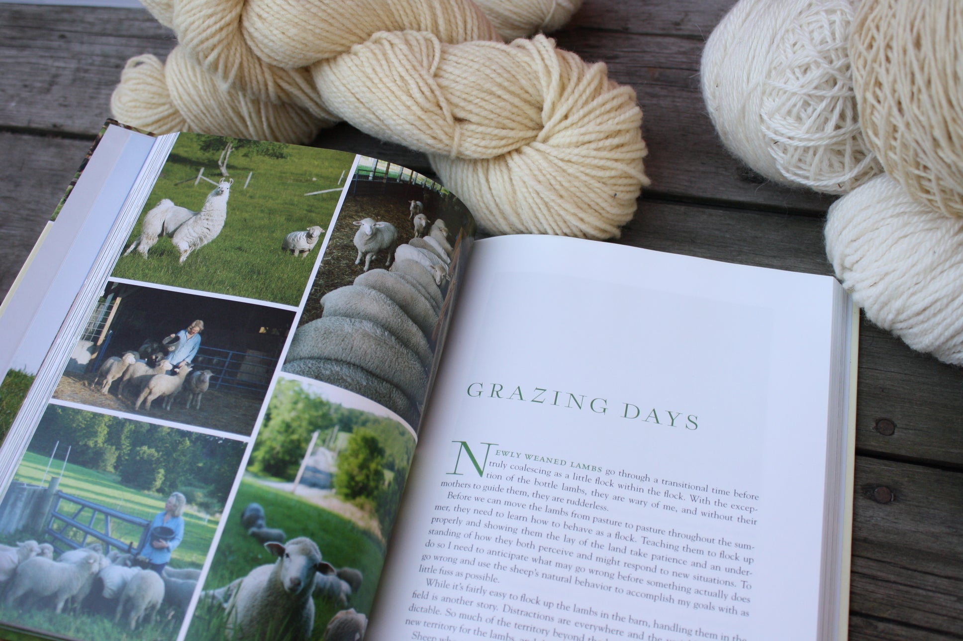 Adventures in Yarn Farming by Barbara Parry