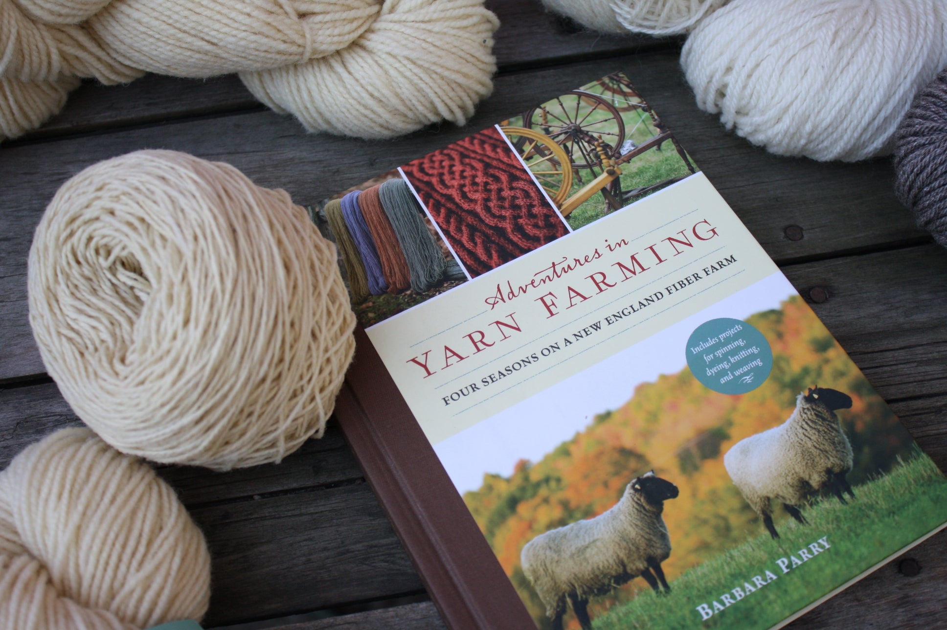 Adventures in Yarn Farming by Barbara Parry