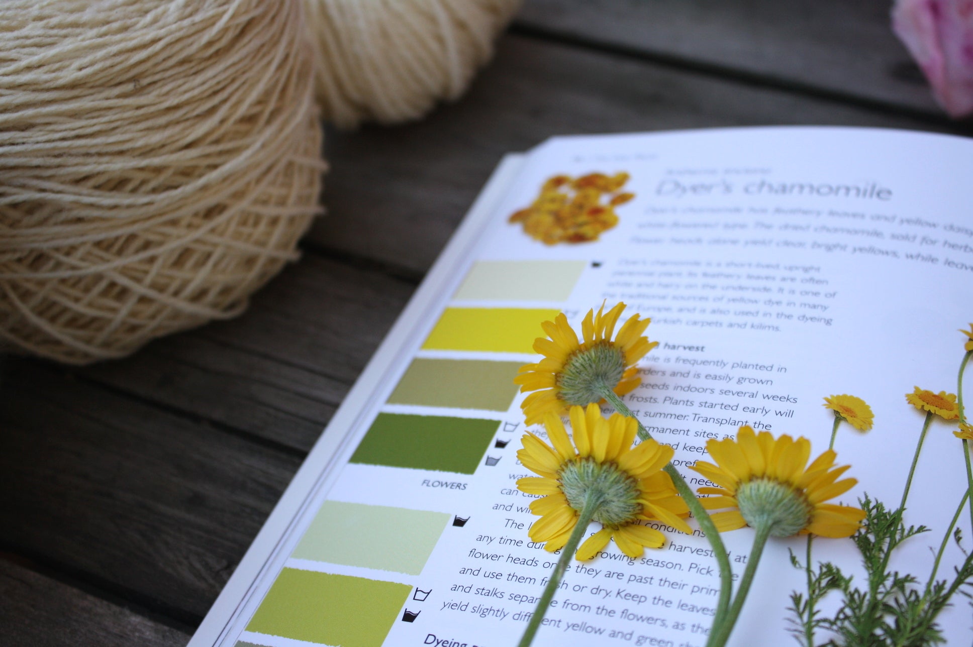 Wild Color by Jenny Dean, Natural Dyeing Resource Book