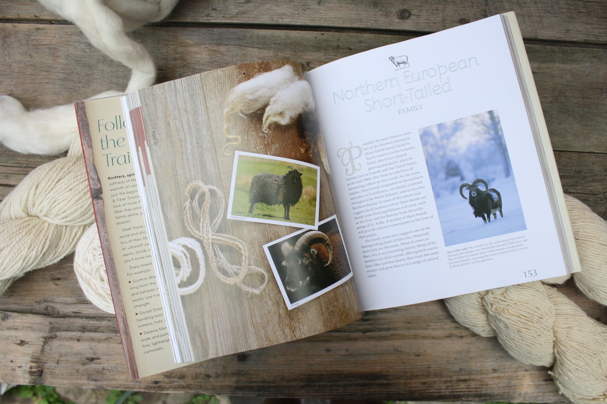 The Fleece & Fiber Sourcebook by Deborah Robson and Carol Ekarius