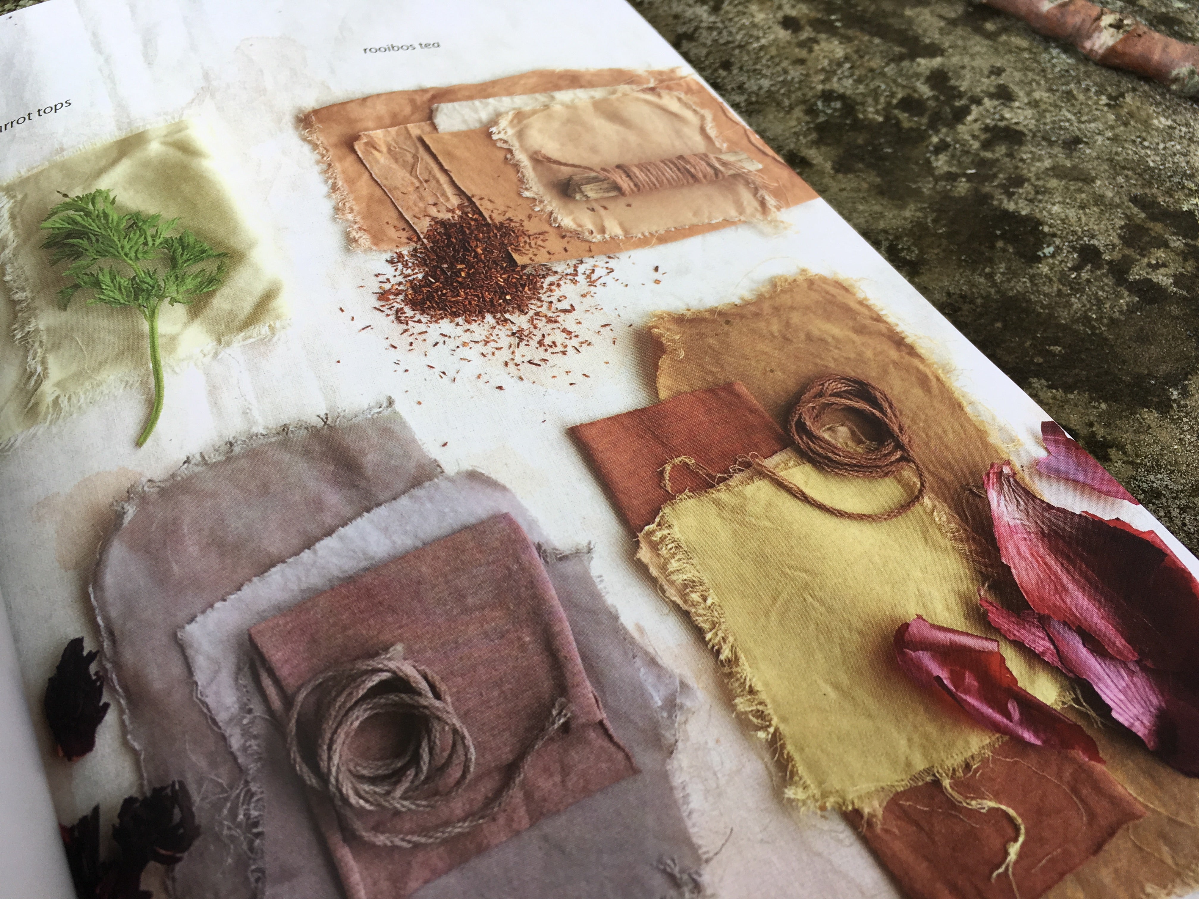 Botanical Colour At My Fingertips by Rebecca Desnos, natural dyeing resource book