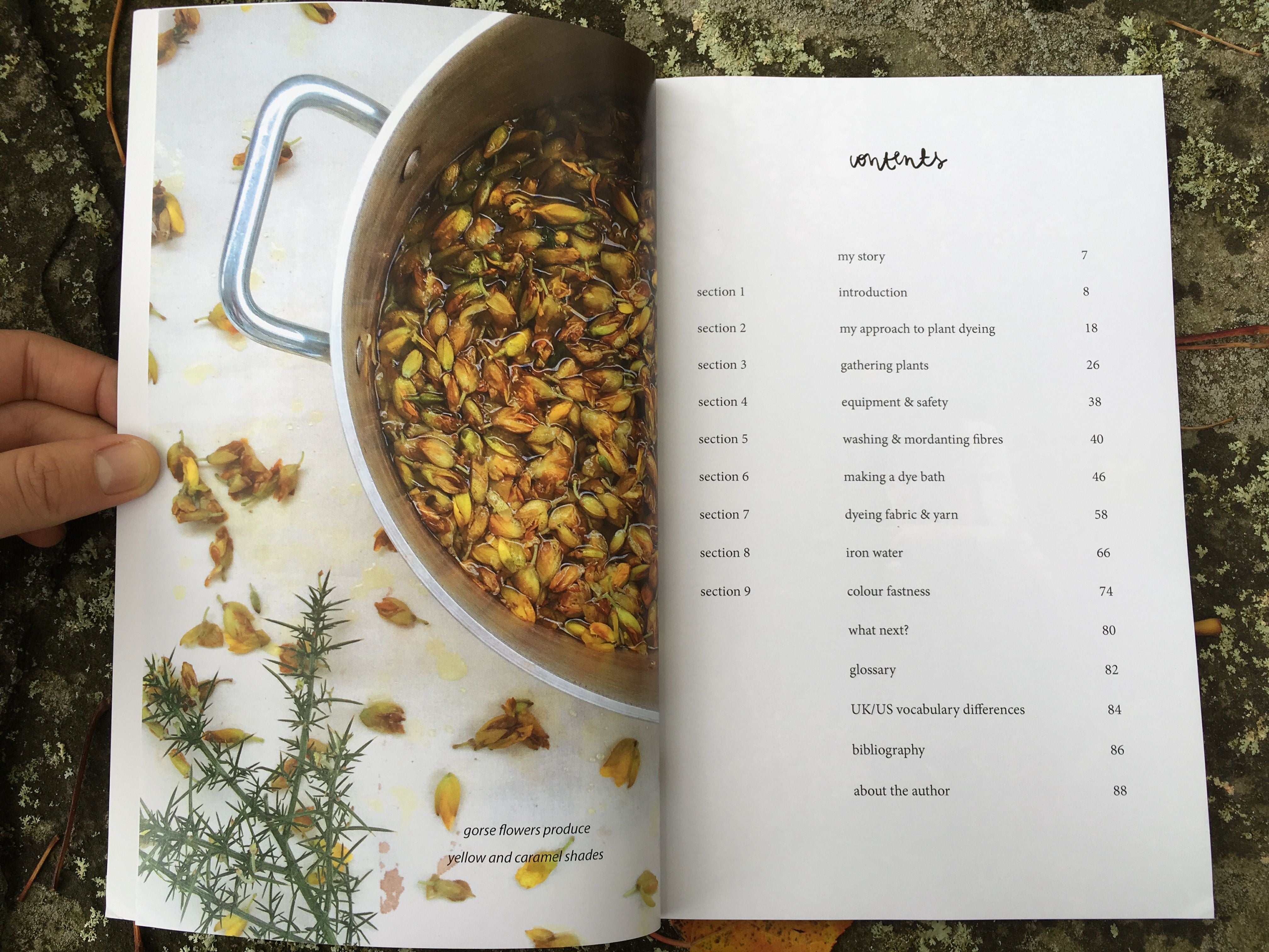 Botanical Colour At My Fingertips by Rebecca Desnos, natural dyeing resource book