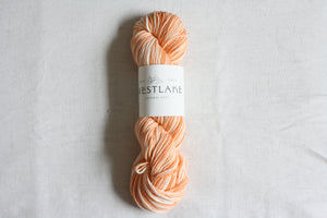 Creamsicle/ Woodland Merino Wool, DK